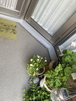 なぜかベランダがずぶ濡れ