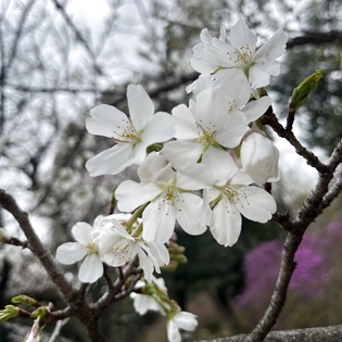 当たり前であることは当たり前ではない