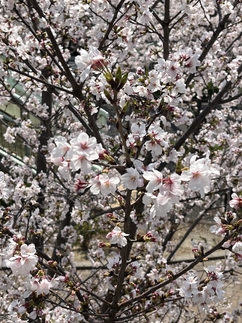 見方を変えれば短所は長所