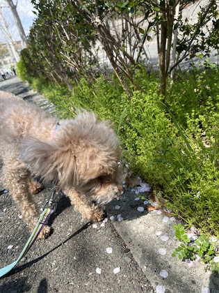 一番の味方は自分自身