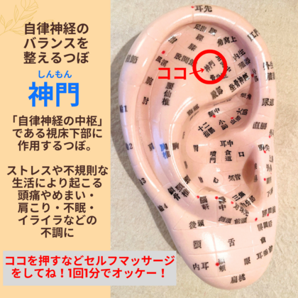 自律神経が乱れやすいこの時期に