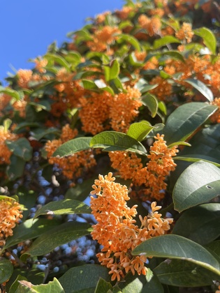 1日の最後に良かったことを1つ思い出すとメンタルケアになる！？