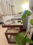 自分を責めなくていい