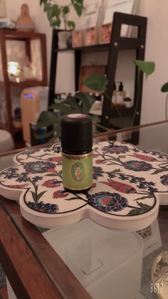 イランイラン ！今日はこれいい！