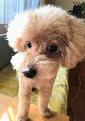 劇的ビフォーアフター