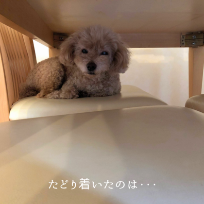 居心地のいい場所