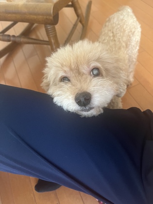 LINEに登録してくださってるお客様へ