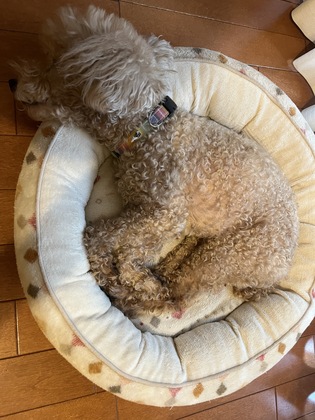 ゲッターズ飯田さんの投稿にグッときた！