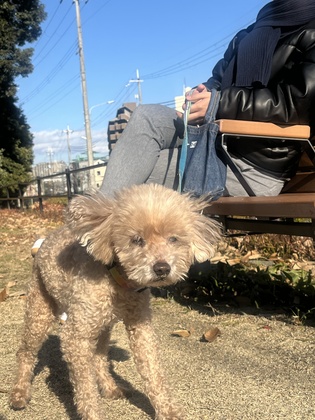 年明け早々風邪を引きました