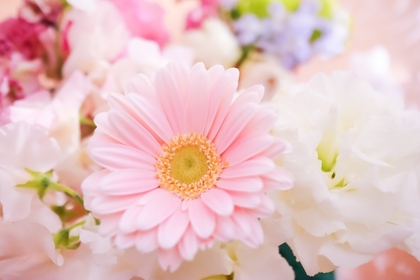 ウトウトするのは身体に良い！