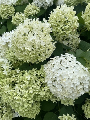 それどころではない！がいい