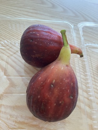 色んな人と出会い話をするといい！