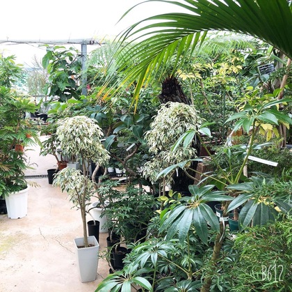 緑に囲まれるっていいなぁ