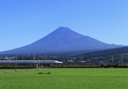 何でも1人でも楽しめるのかもしれない！