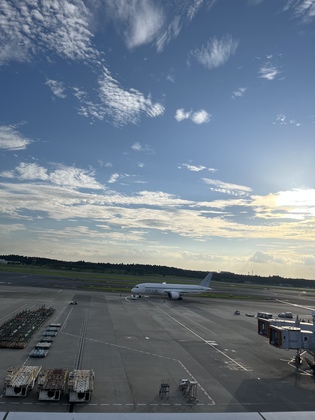 息子再びアメリカへ