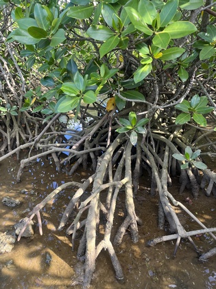 変化を恐れず変えていこう！〜宮古島3日目