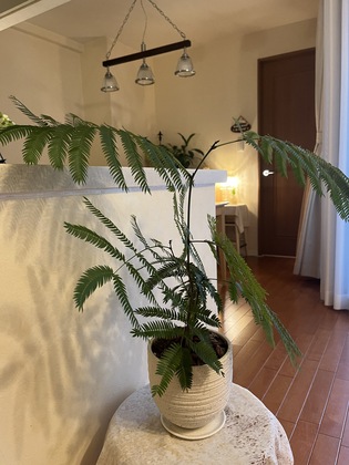 適当になることも大事