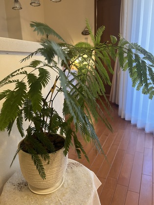 ストレスを抱えて眠れないなら自分自身を変えてみる