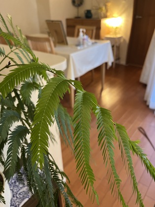 ご予約の際どのメニューを選んだらいいか分からない時は