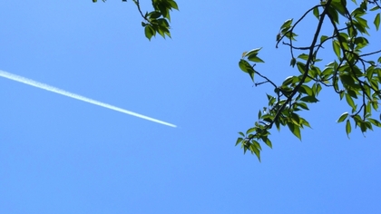 私の話ですが。