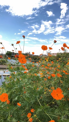 コロナワクチンの1回目打ちました