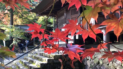 丹波篠山　大國寺へ紅葉を見に行きました