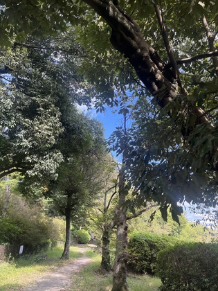 口角上げて脳をだましませんか？