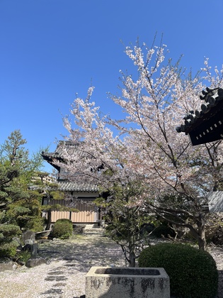 脳はパソコンと同じ！容量オーバーすると固まる