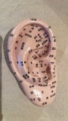 胃腸の不調をセルフケアでしのぐ