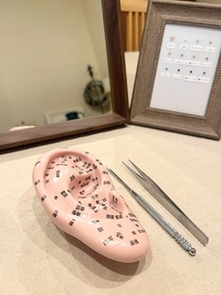 なんとなく不調と美容に　耳つぼ