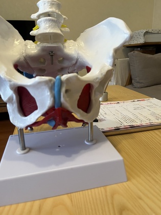 身体検査巡り〜整形外科へ