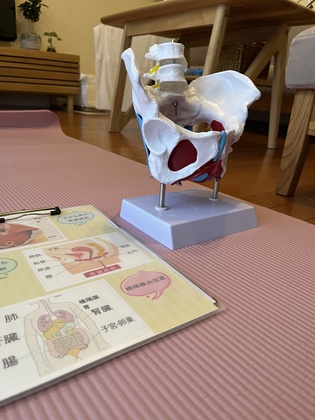 締めてみるけど尿もれが治らない？